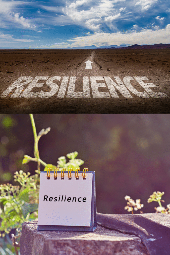 Understanding Resilience: More Than Just Bouncing Back {#understanding-resilience}