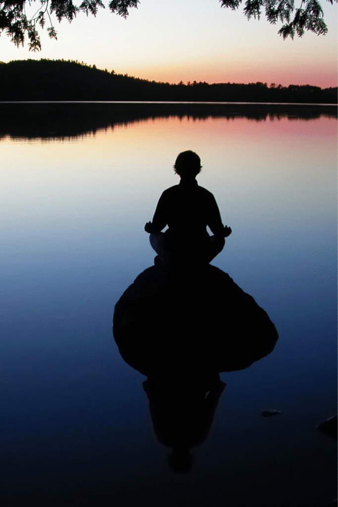  Body Image & Wellness